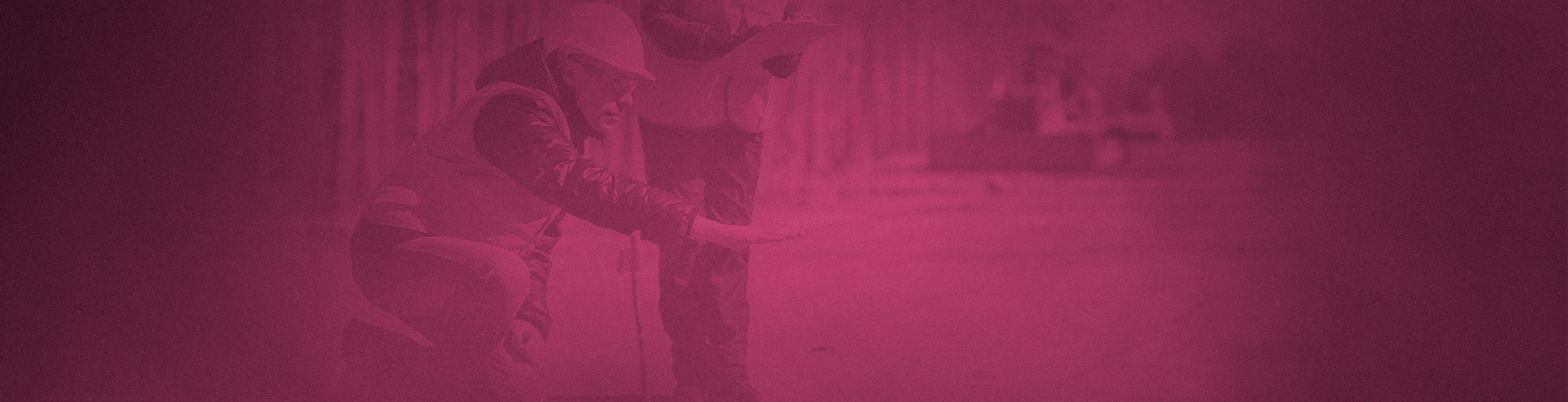 PESV Auditor de seguridad vial